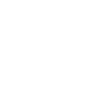 eSilicon