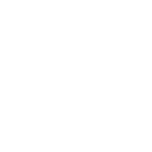 Wiley sponsor logo